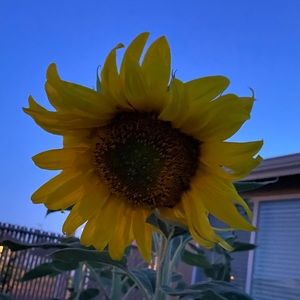 Meet your Posher, Bronna